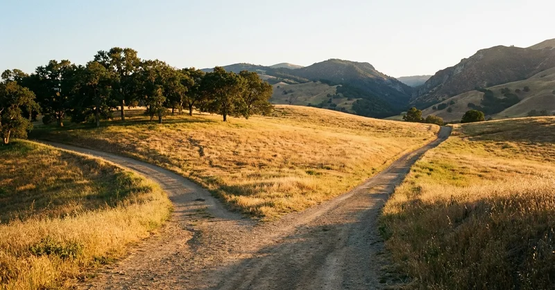 α7C II と α7R V の使い分け、副業フォトグラファーの判断基準