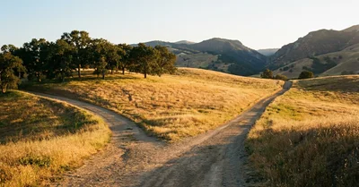 α7C II と α7R V の使い分け、副業フォトグラファーの判断基準