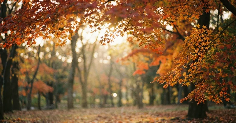 紅葉を美しく撮る設定とロケーション選び：Leicaの色味を活かす撮影術