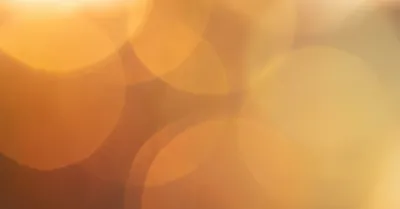 露出補正の使い方、逆光ポートレートで失敗しないための設定値と実践テクニック