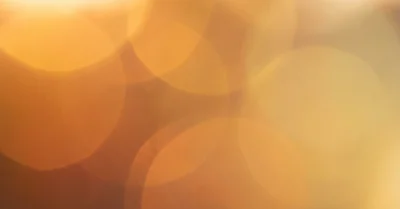 露出補正の使い方、逆光ポートレートで失敗しないための設定値と実践テクニック