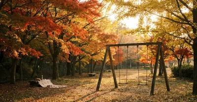 Insta360 Ace Pro 2、子育てパパの正直レビュー