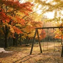 Insta360 Ace Pro 2、子育てパパの正直レビュー