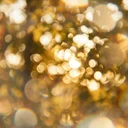 はじめまして、レンズ沼の住人です。機材と哲学を語らせてください