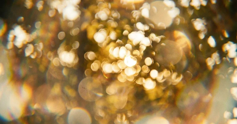 はじめまして、レンズ沼の住人です。機材と哲学を語らせてください