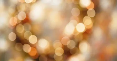 NIKKOR Z 50mm f/1.8 Sは本当に完璧か｜1年使用して見えた実力と限界