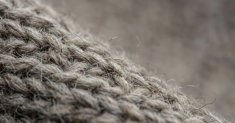 等倍で見る意味とは｜高画素機の本当の価値を4575万画素で検証