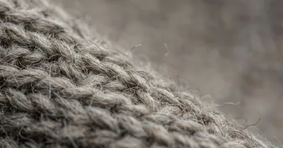 等倍で見る意味とは｜高画素機の本当の価値を4575万画素で検証