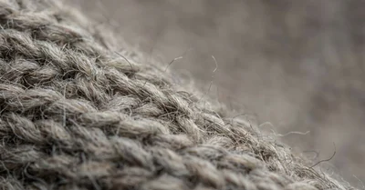 等倍で見る意味とは｜高画素機の本当の価値を4575万画素で検証