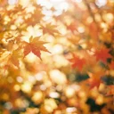 ポートレート撮影に向いてるカメラの条件とは？副業フォトグラファーが解説