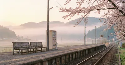 旅行カメラの選び方｜GR IIIで分かった軽さと画質のベストバランス