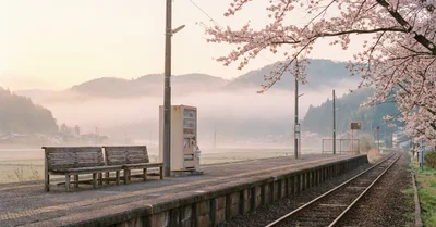 旅行カメラの選び方｜GR IIIで分かった軽さと画質のベストバランス