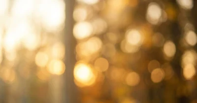 XF35mm F1.4 Rが神レンズと言われる理由｜開放の滲みに恋した話