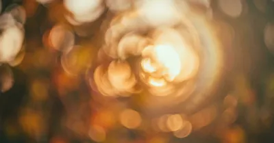 Carl Zeiss C Sonnar 50mm F1.5レビュー：開放の狂気を楽しむレンズ