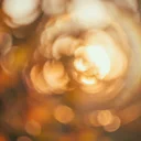 Carl Zeiss C Sonnar 50mm F1.5レビュー：開放の狂気を楽しむレンズ